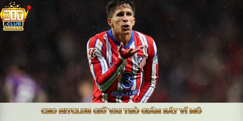 CEO HITCLUB giữ vai trò giám sát vĩ mô